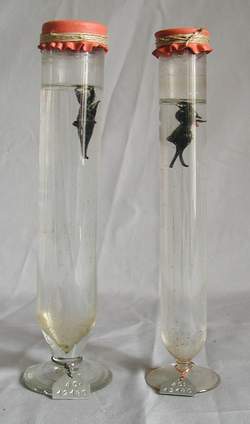 Diavolo di Cartesio (ludione) Foto &copy; Pierandrea Malfi