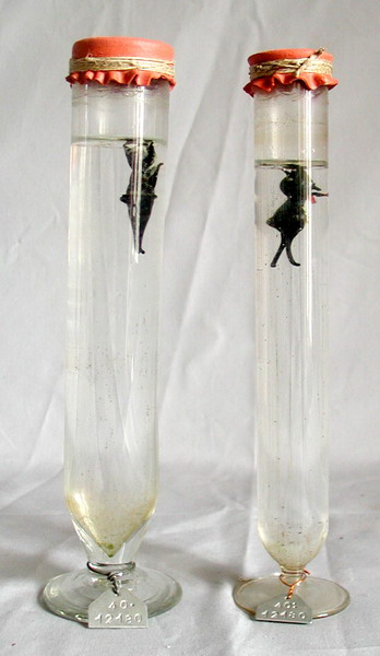 Immagine, Malfi, &copy D 2016