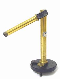 Dipleidoscopio Foto &copy; Pierandrea Malfi