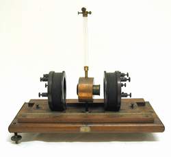 Wiedemann's compass Foto &copy; Pierandrea Malfi