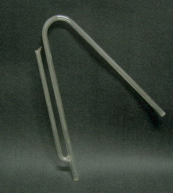 Glassy siphon Foto &copy; Pierandrea Malfi