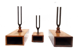 Coristi Do3 e Do4 Foto &copy; Pierandrea Malfi