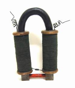 Elettrocalamita a ferro di cavallo Foto &copy; Pierandrea Malfi