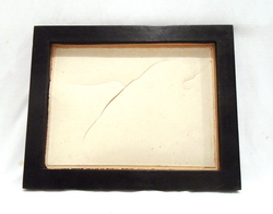 Schermo fluorescente per raggi X Foto © Pierandrea Malfi