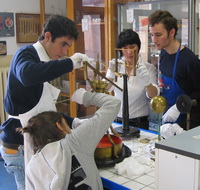 Logo sezione conservazione e restauro